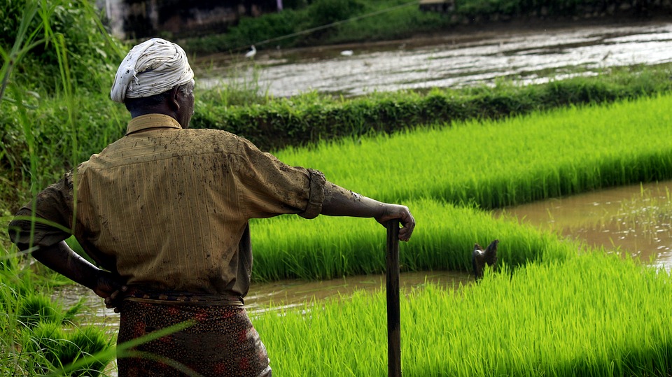 Ganga Basin States Could See Crop Failures Rise and Drinking Water Shortage Go Up