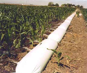 Injecting Polyacrylamide Could Help