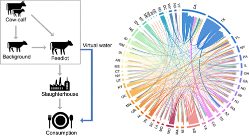 The virtual water impact of the U.S. beef networkSource: University of PittsburghSummary:Researchers have developed a framework to understand wa...