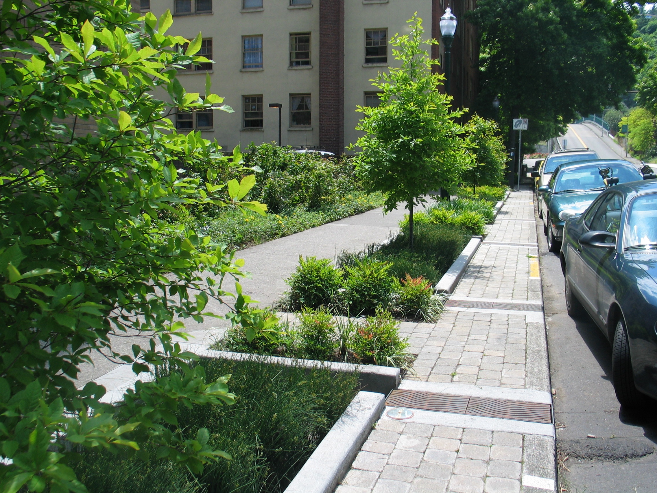 Greening the Grey with Green Infrastructure