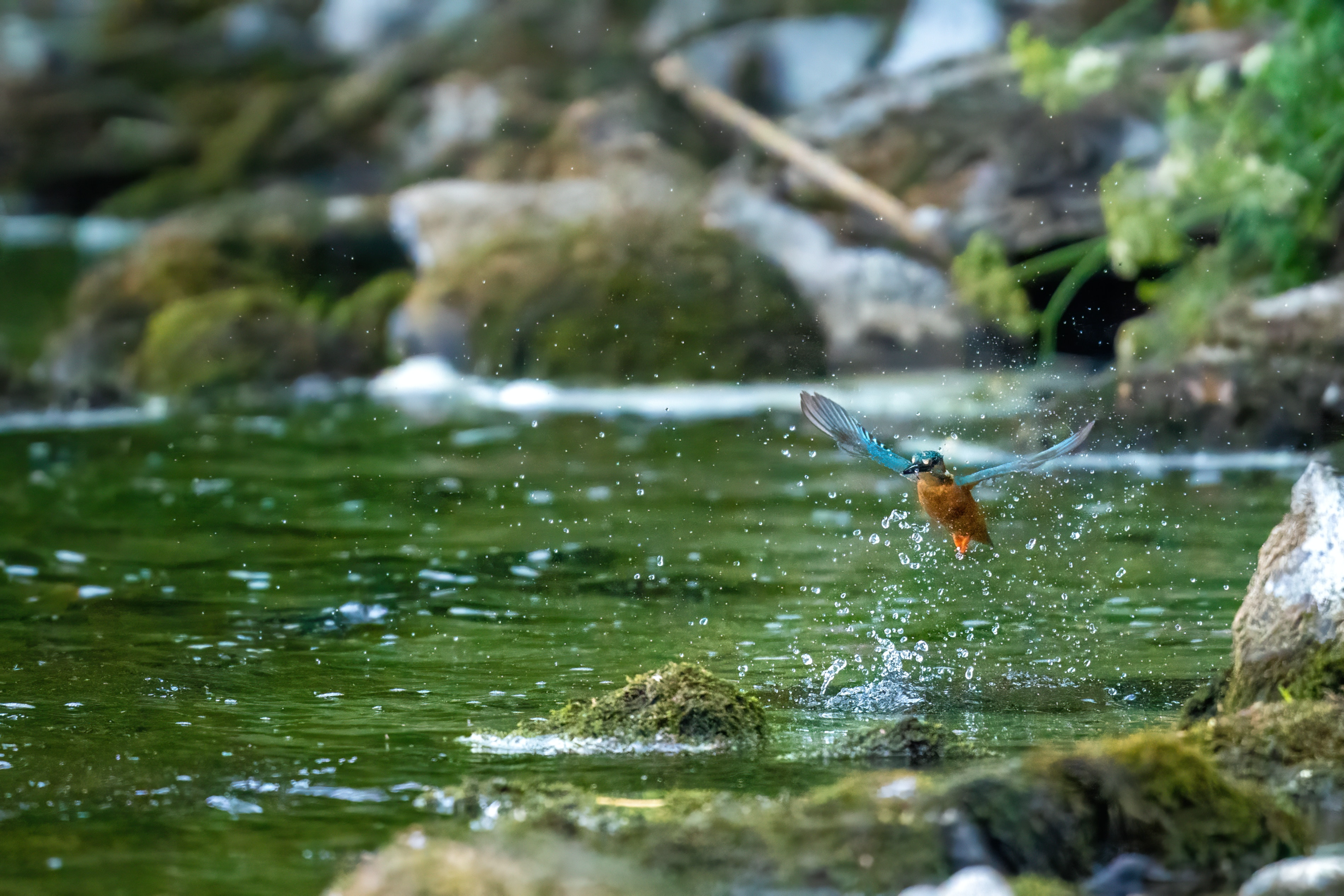 Unleashing innovation research in the water sector