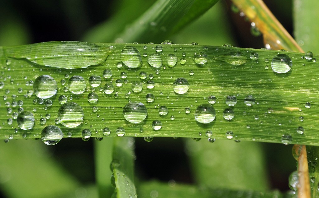 Manchester researcher helping to tackle the world’s water challenges