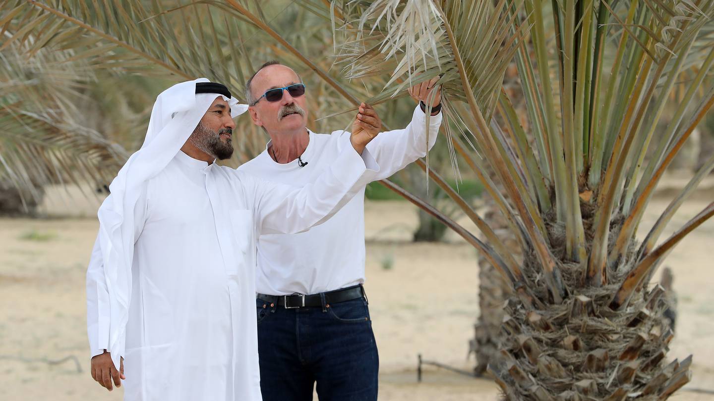 Software could help to save up to 80 per cent of water used on UAE farmsThe UAE's farmers can now use new software that helps to plan crop plant...