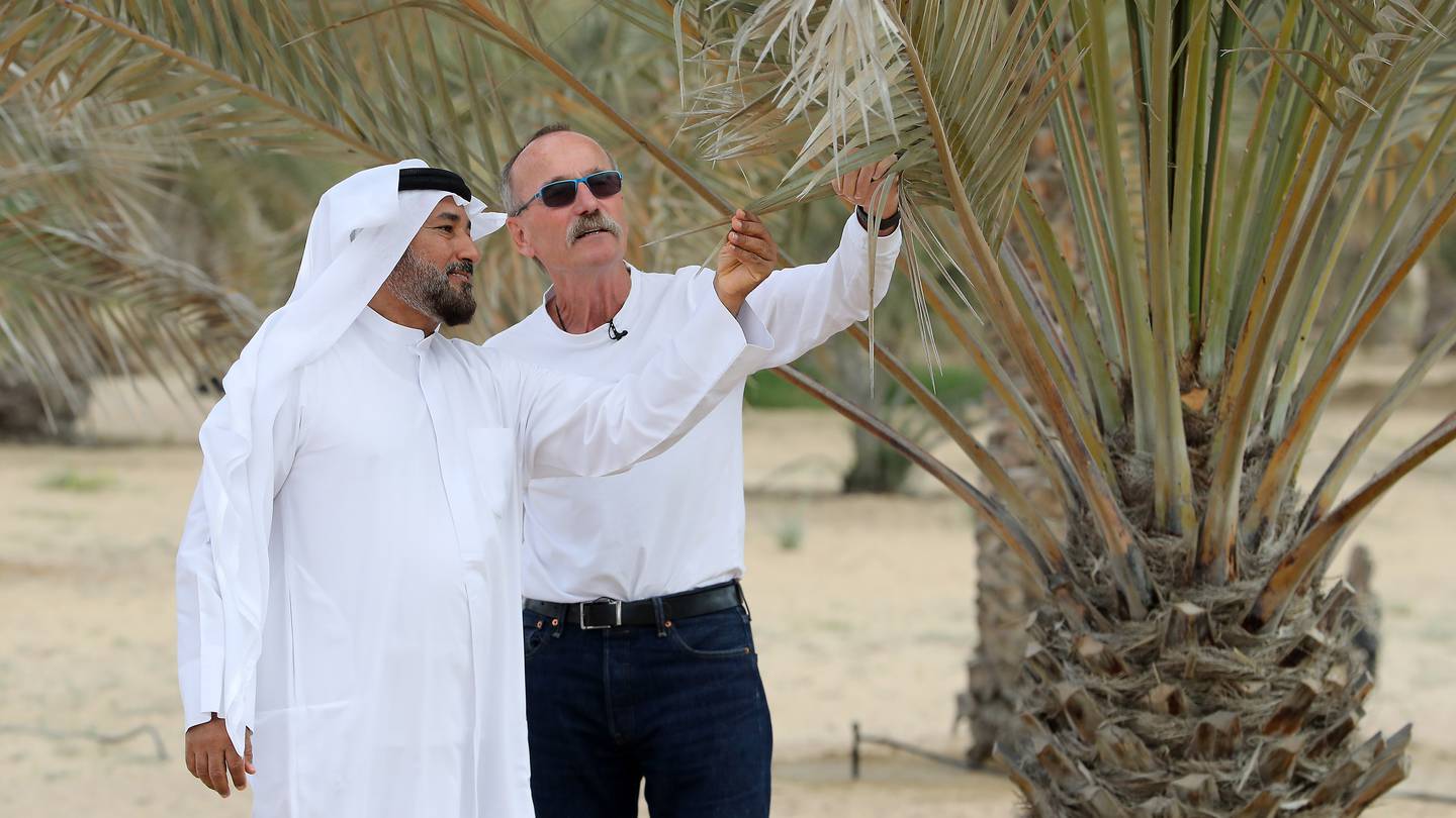 Software could help to save up to 80 per cent of water used on UAE farmsThe UAE&#039;s farmers can now use new software that helps to plan crop plant...