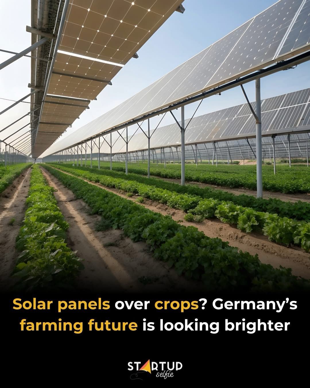 The Science Behind Germany&rsquo;s Agrivoltaics ExperimentDr Ahmad Sabirin ArshadPresident and Group CEO SIRIM Berhad Malaysia German engineers are ...
