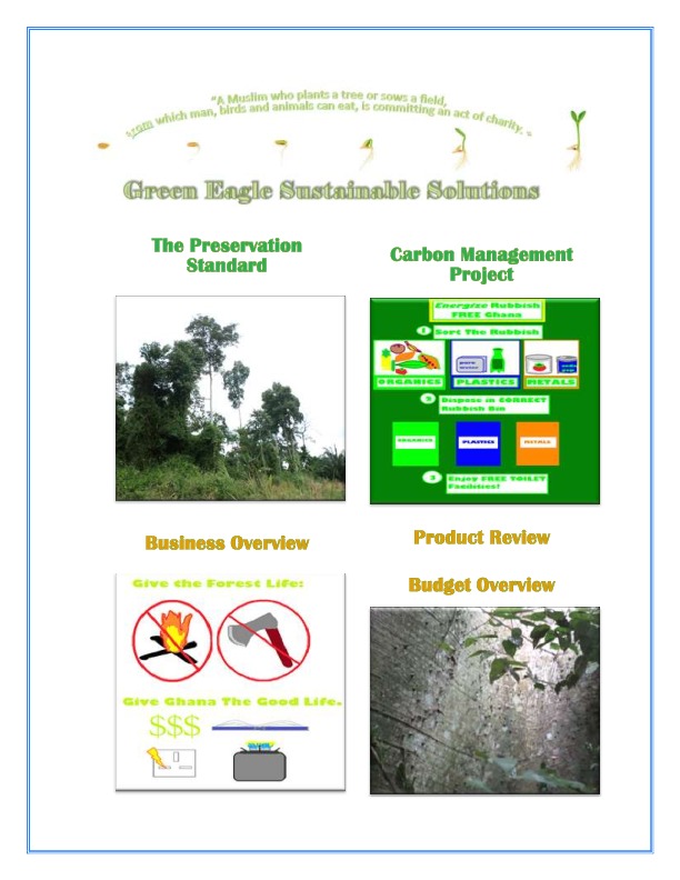Green Eagle Sustainable Solutions by Amber Adler based in Ghana (PDF Document)