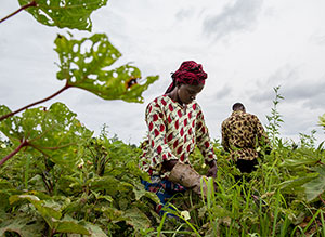 Could Global Warming's Top Culprit Help Crops?