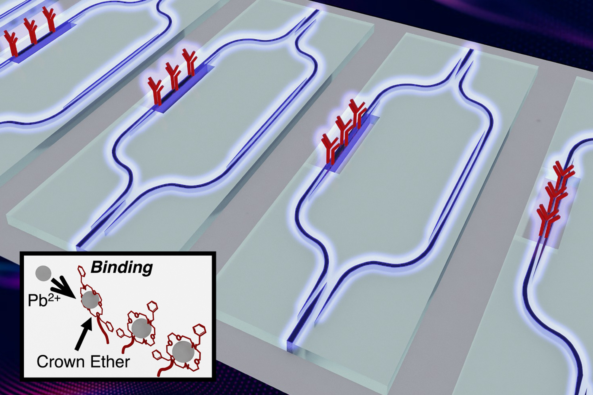 Scientists develop an affordable sensor for lead contamination