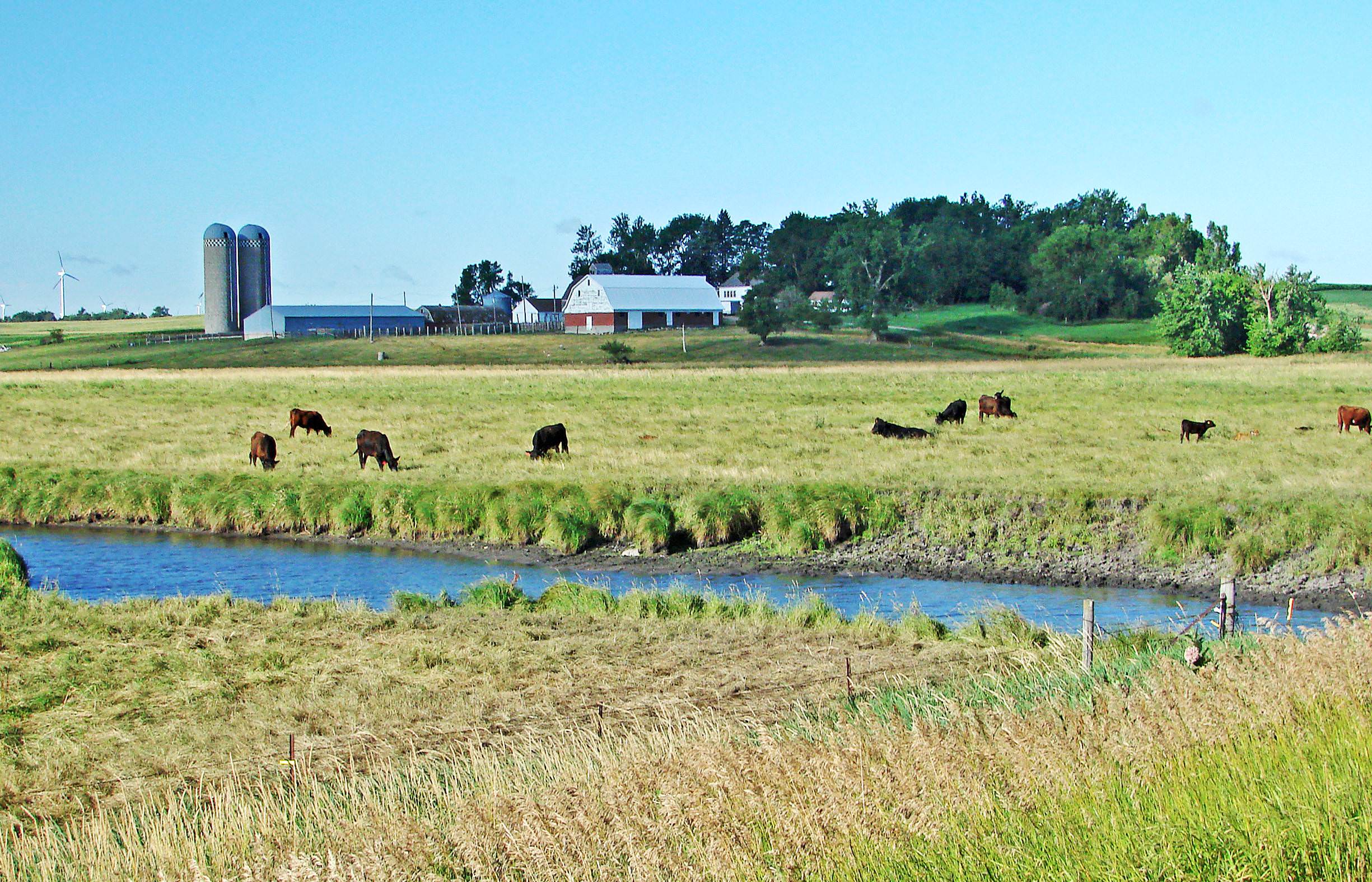 Iowa Cities Struggle To Keep Farm Pollution Out of Tap Water - Case Study