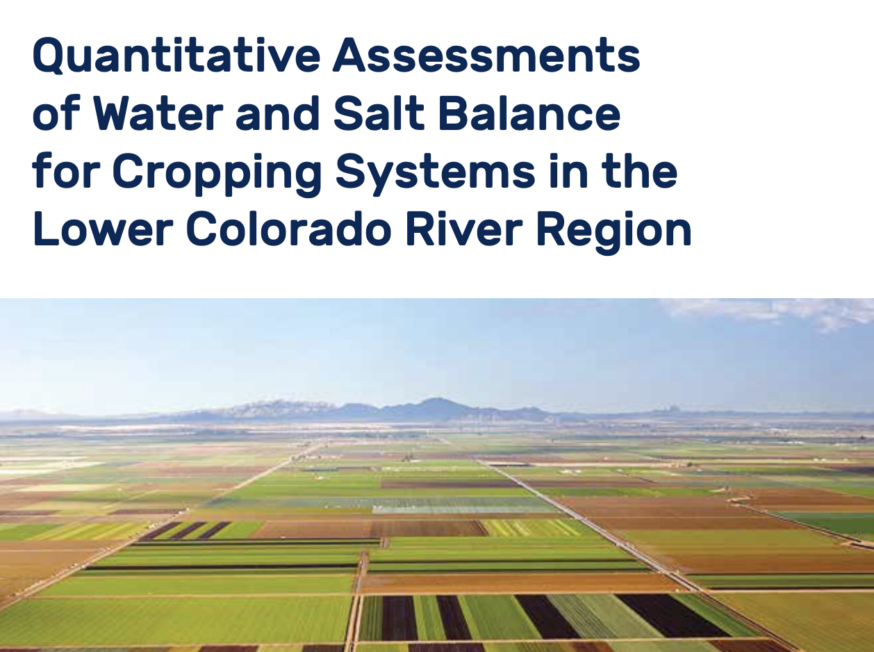 Quantitative Assessments of Water for Cropping Systems in the Lower Colorado River Region
