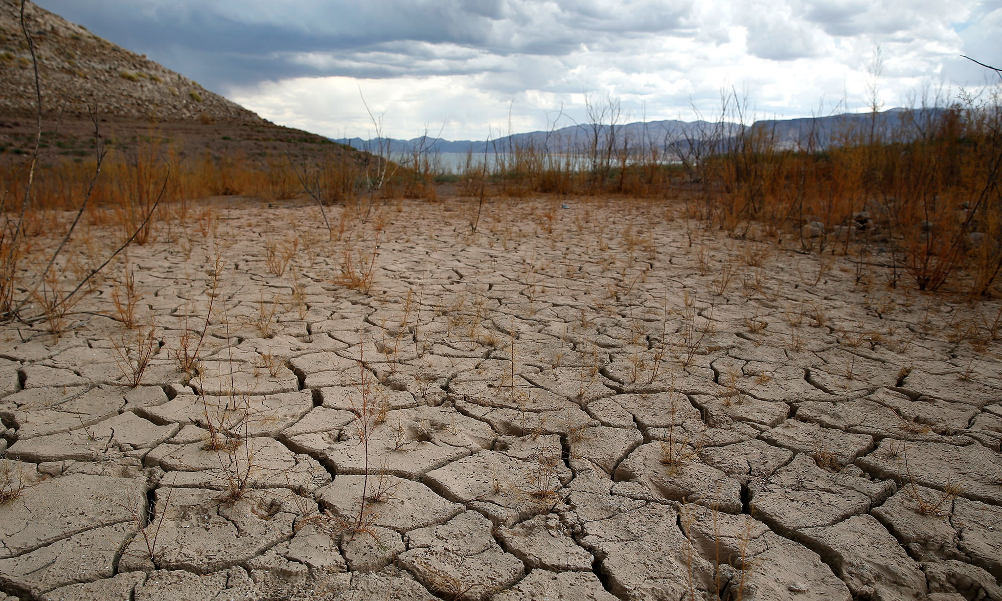 These Are the Forgotten Victims of the West's Drought