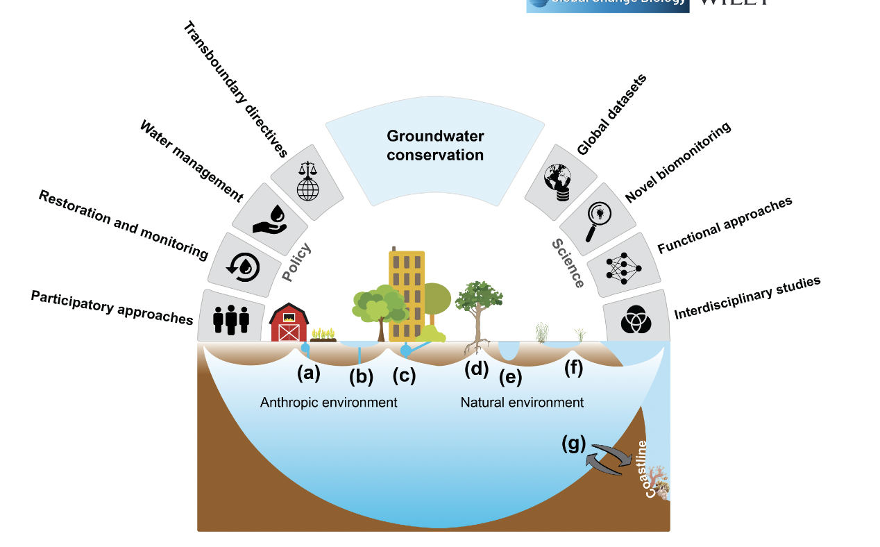 Groundwater Is Vital To Health Of Our Planet: A Call For Greater ProtectionAn international study classifies groundwater as a keystone ecosystem...