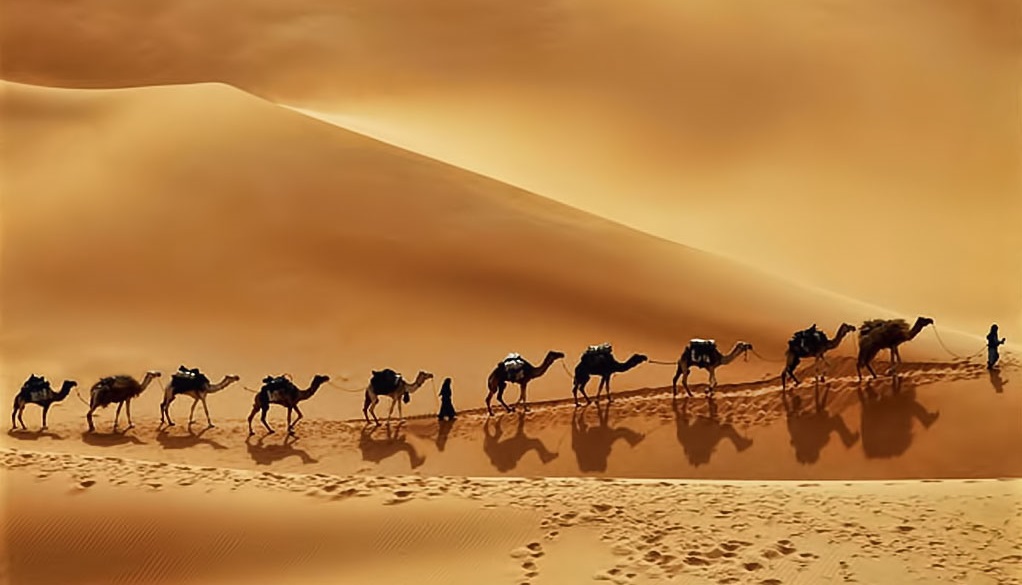 Helping Saudi Arabia Reduce Water Consumption