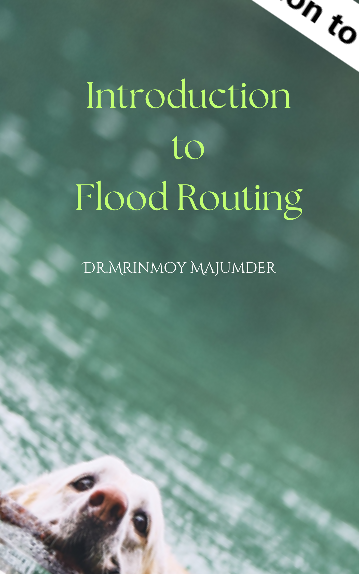 Introduction to Flood Routing