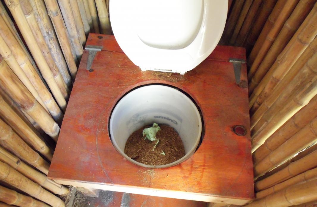 bamboo toilet seat