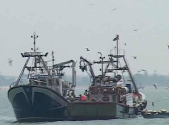 Illegal, Unreported, Unregulated Fishing: Transparency