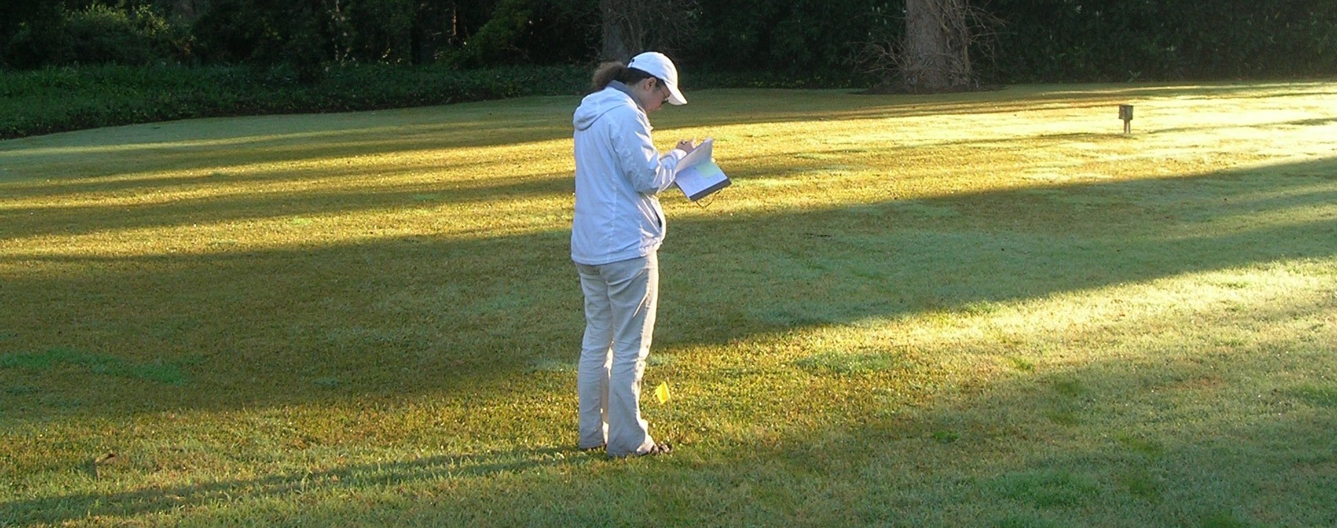 Saving Water on Lawns with Shade