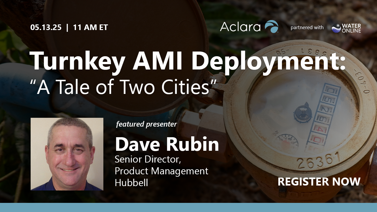 Turnkey AMI Deployment: &ldquo;A Tale of Two Cities&rdquo;In the upcoming presentation, we will explore various scenarios that depict the good, the bad,...