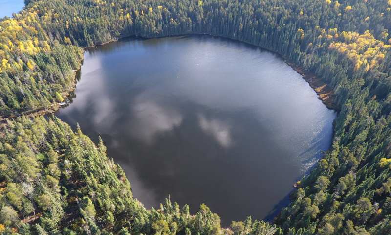 Reducing How Much Nitrogen Enters a Lake Has Little Impact on Algal Blooms