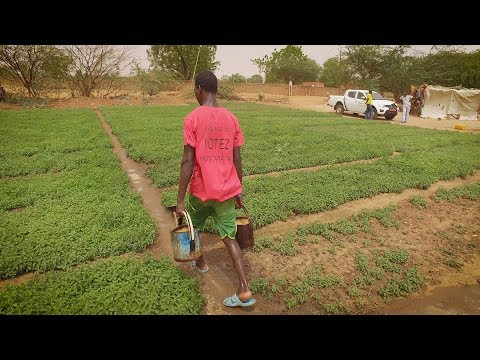 Sahel Groundwater Mapping Project Shows Significant Reserves
