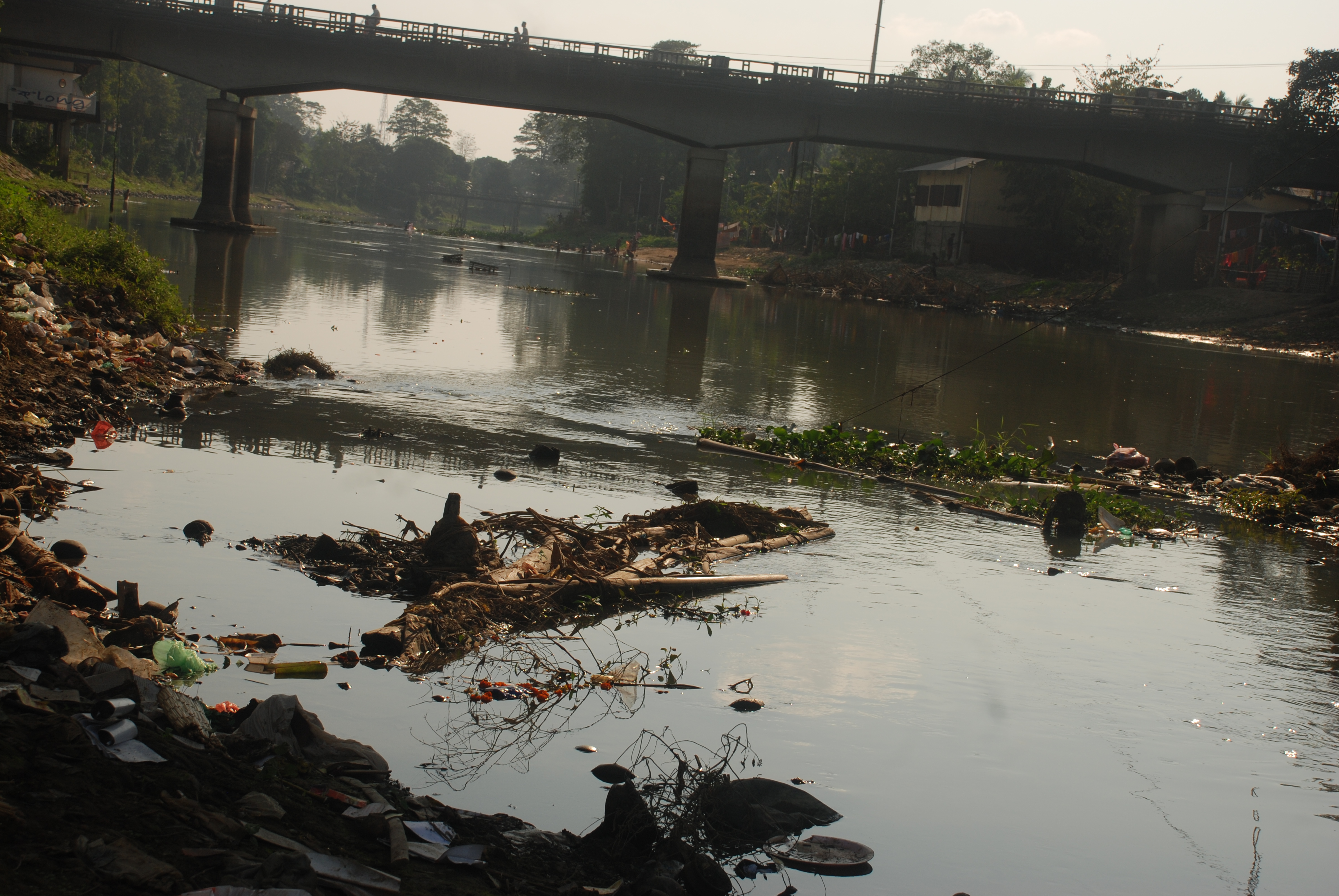 Restoration / Remediation of Rivers 