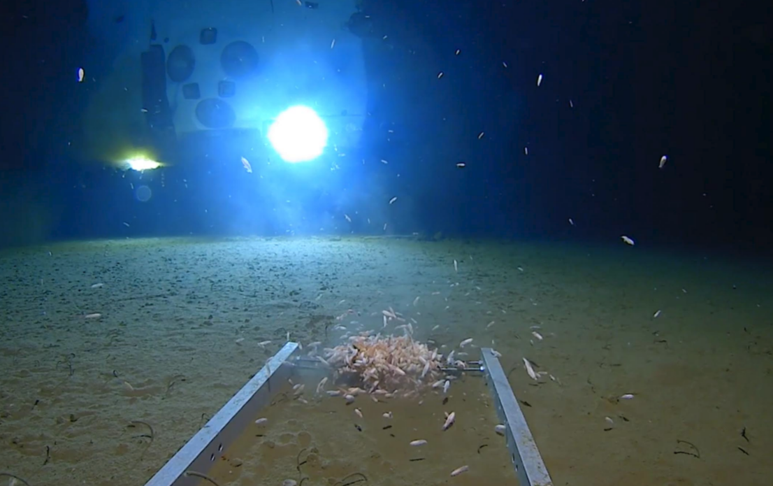 Deepest underwater dive in human history finds plastic on the ocean floor (Video) On the deepest dive ever made by a human inside a submarine, a...