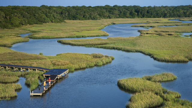 Stepping up Action for Wetlands Worldwide