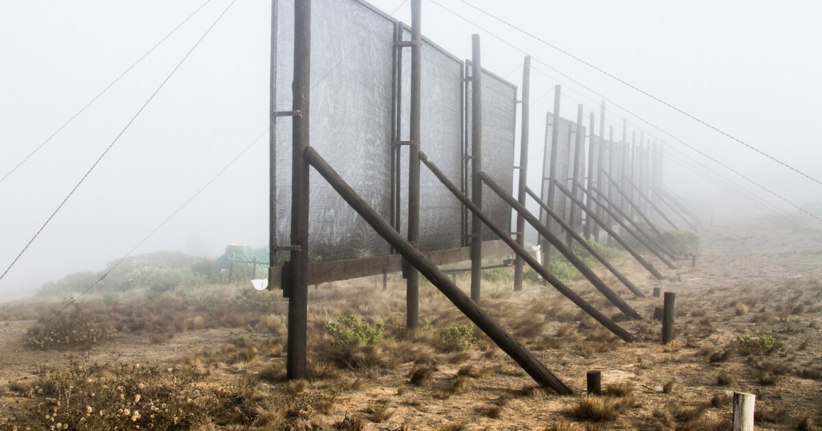 Solar-powered fog net captures water and cleans out pollution