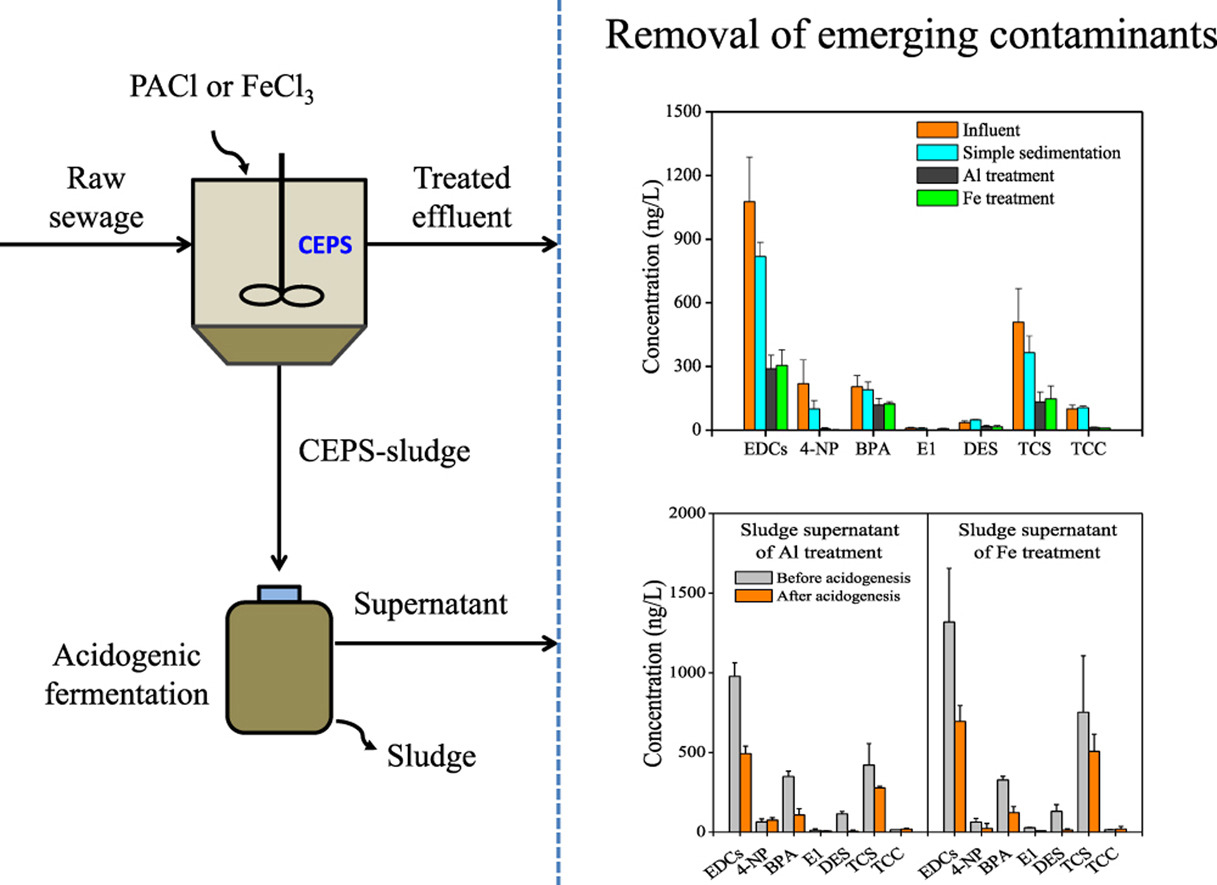 Removal of emerging contaminants from wastewater during chemically enhanced primary sedimentation