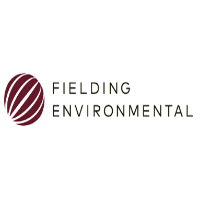 Fielding Environment
