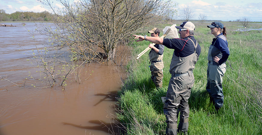 Harmful Algal Bloom Detection and Outdoor Recreation Choices—Assessing the Benefits of Satellites