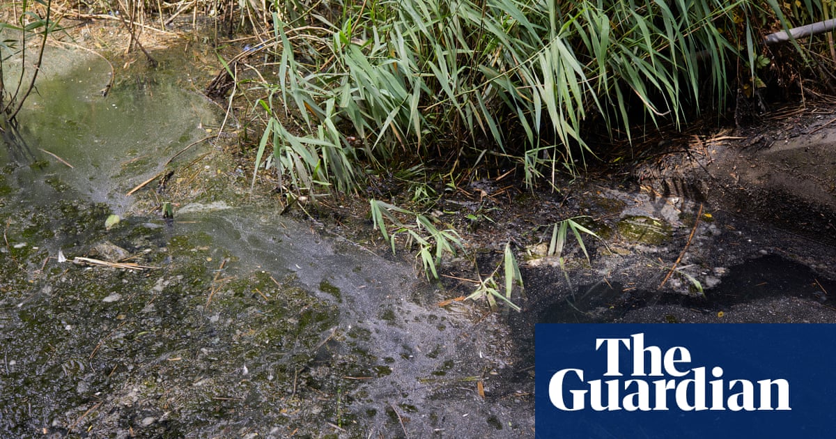 Shocking state of English rivers revealed as all of them fail pollution tests