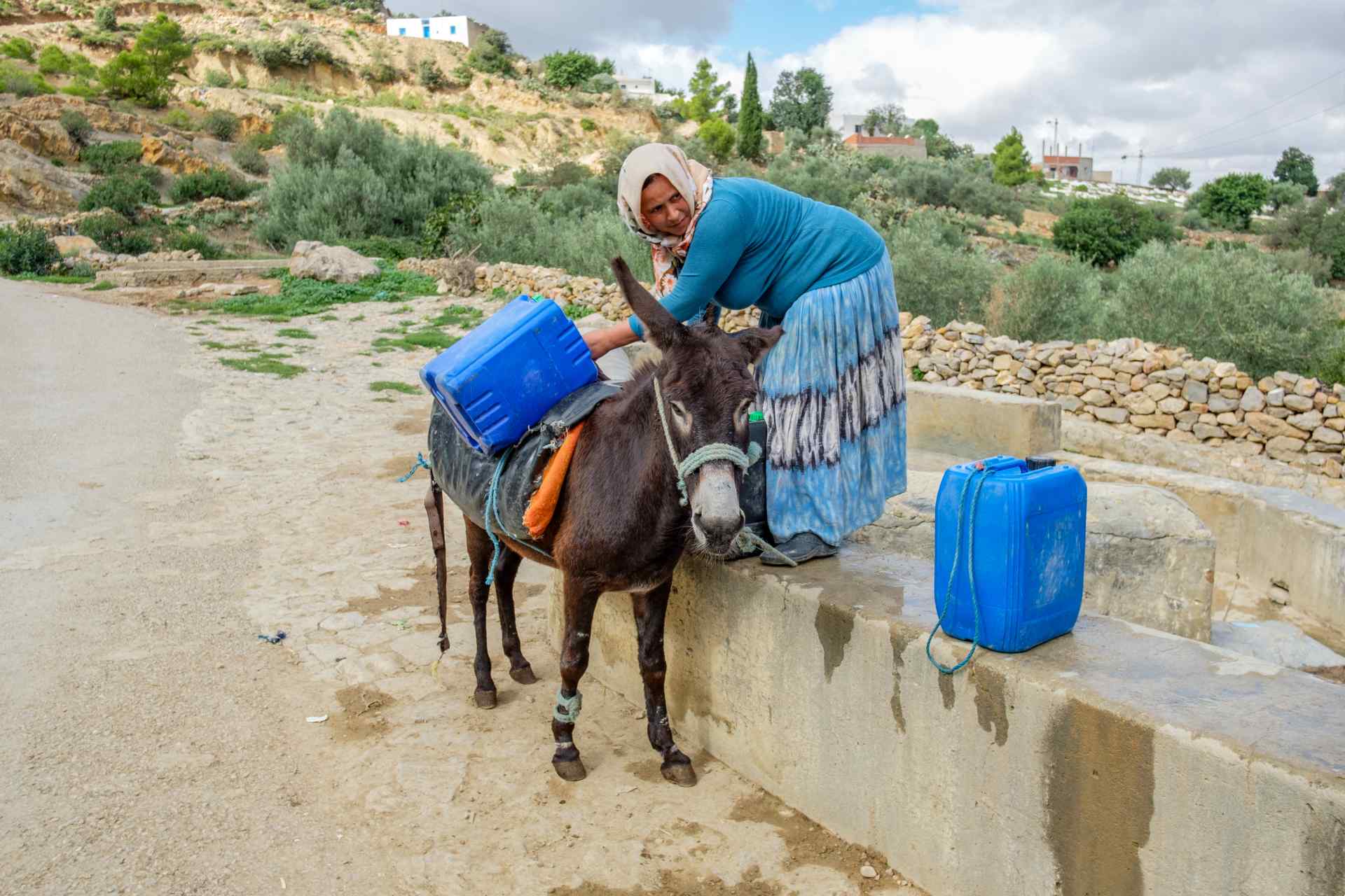 TUNISIA: Faced with climatic hazards, AFD publishes "Water, a promise of emancipation | Afrik 21