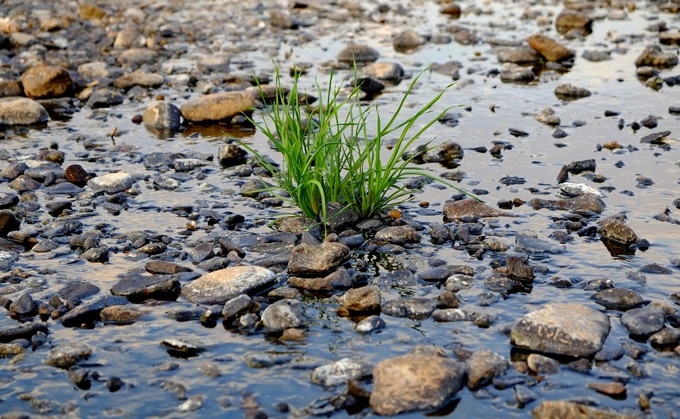 California's Drought is Over, but its Groundwater Problem isn't