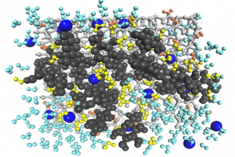 Sweet compounds aid water retention in dry soil | Cornell Chronicle