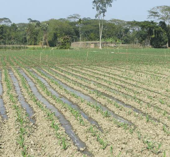 Online Tool ​Pinpoints ​Bangladesh ​Water ​Irrigation ​Sites