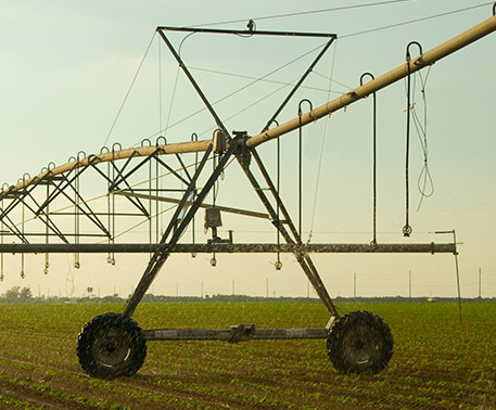 The Cooling Effect of Agricultural Irrigation