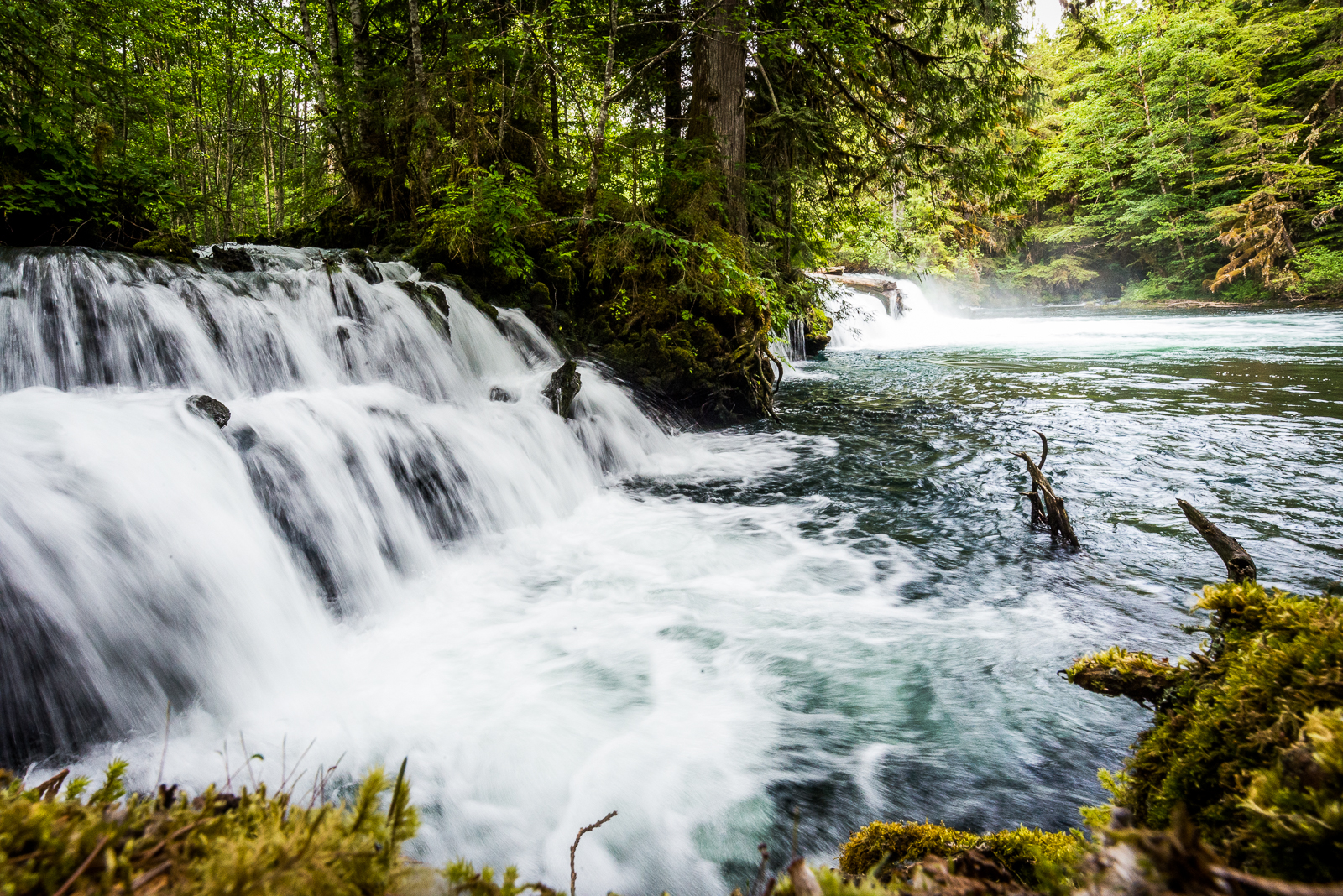 UNDRIP has implications for fresh water governance in Canada: British Columbia has now put UNDRIP into provincial legislation. What effects can ...