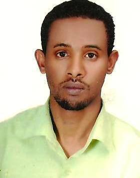 Mekonnen Maschal Tarekegn, Consultant