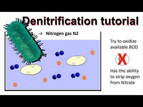 How does denitrification work and simultaneous nitrification/denitrification