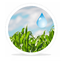 Proper utilisation of water in irrigated agriculture