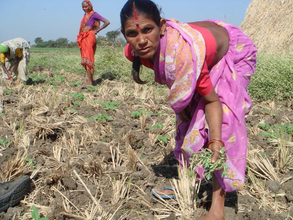 Maharashtra Crosses 60,000 Farm Suicides