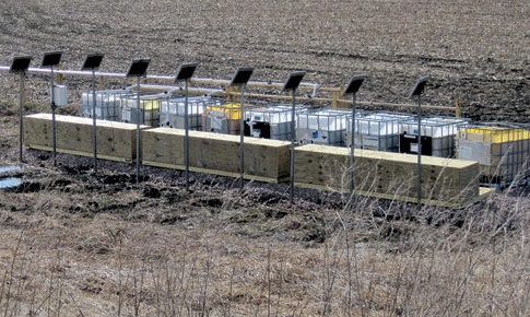 Denitrification in a Box
