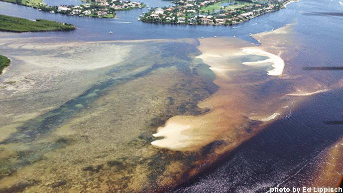 Water Quality Getting Worse - Pollution Flowing Out into The Ocean