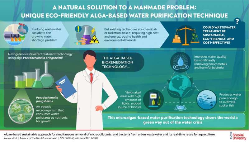 A new eco-friendly and sustainable algae-based way to fight water pollution