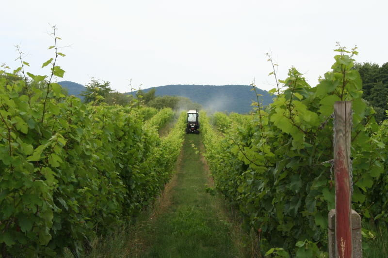 Predicting Pesticide Loads More Accurately