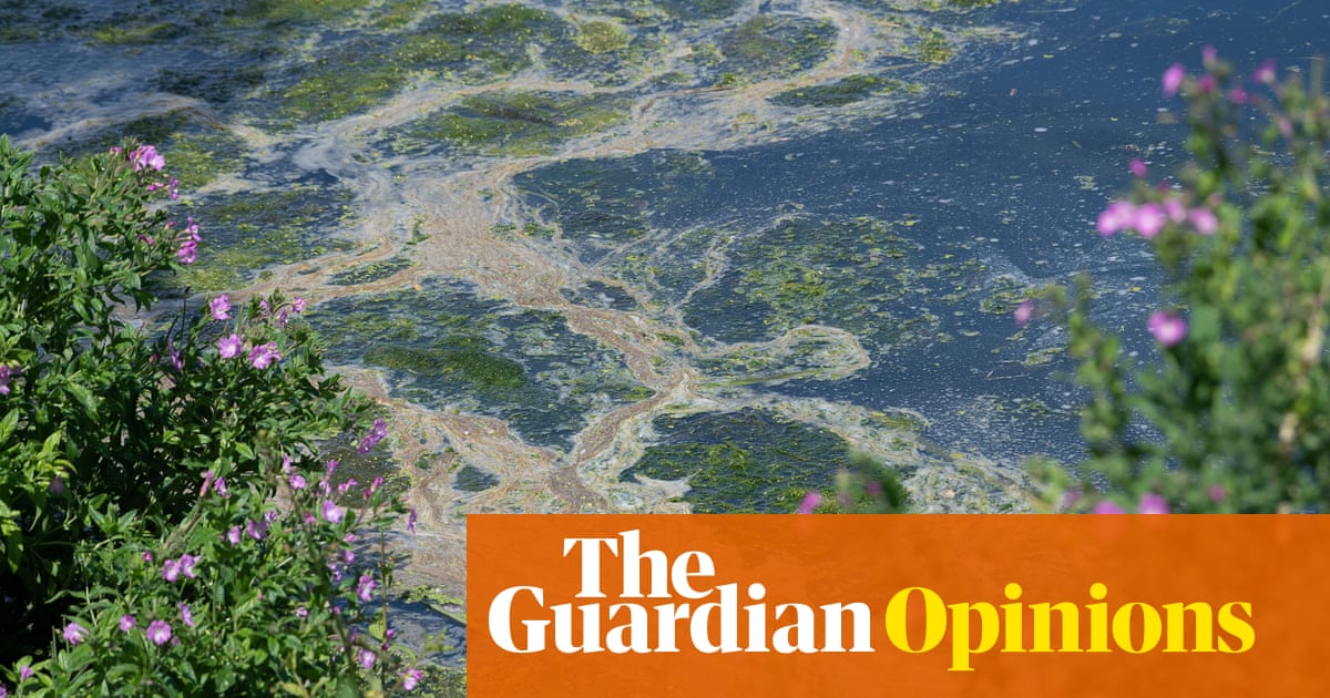 England&rsquo;s water industry now represents the unacceptable face of capitalism | Simon Jenkins