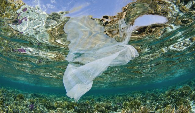 Plastic Debris Accumulation in the Mediterranean Sea