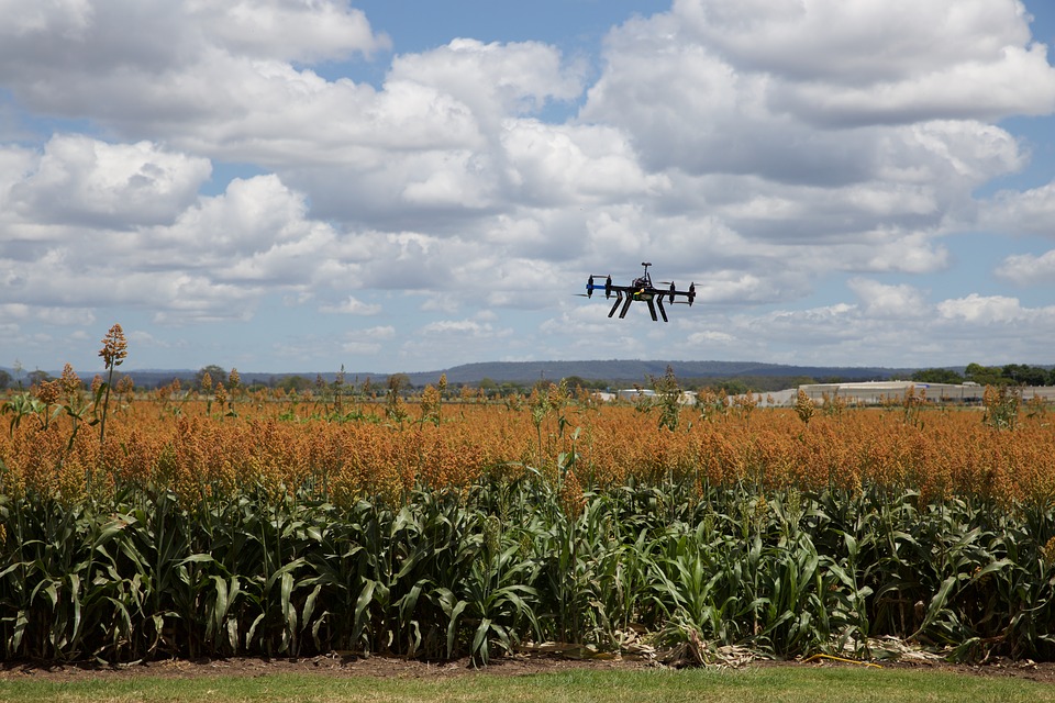 Wells Fargo Innovation Incubator Selects Five Startups Focused on Sustainable Food Production