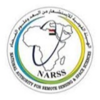 National Authority for Remote Sensing and Space Sciences (NARSS)